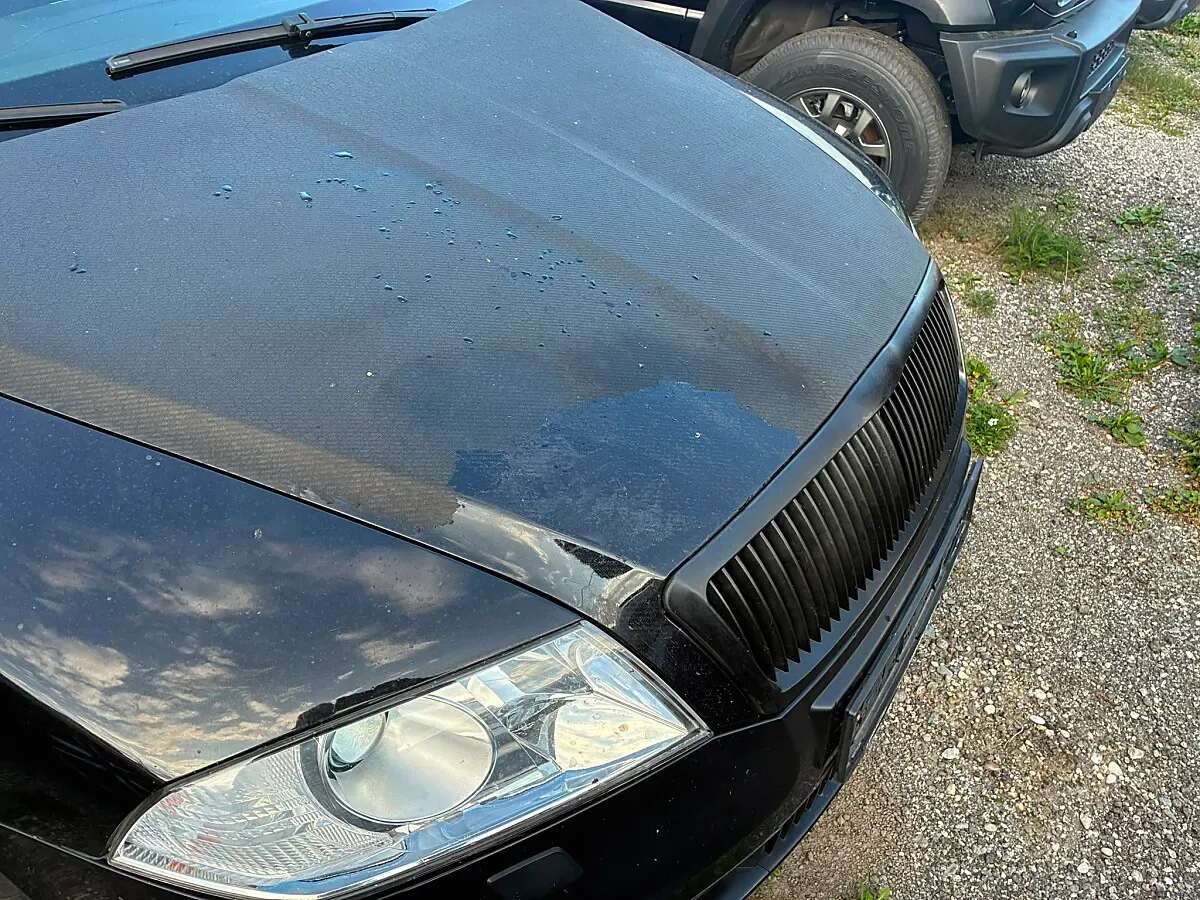 Skoda Octavia 2006 photo 3