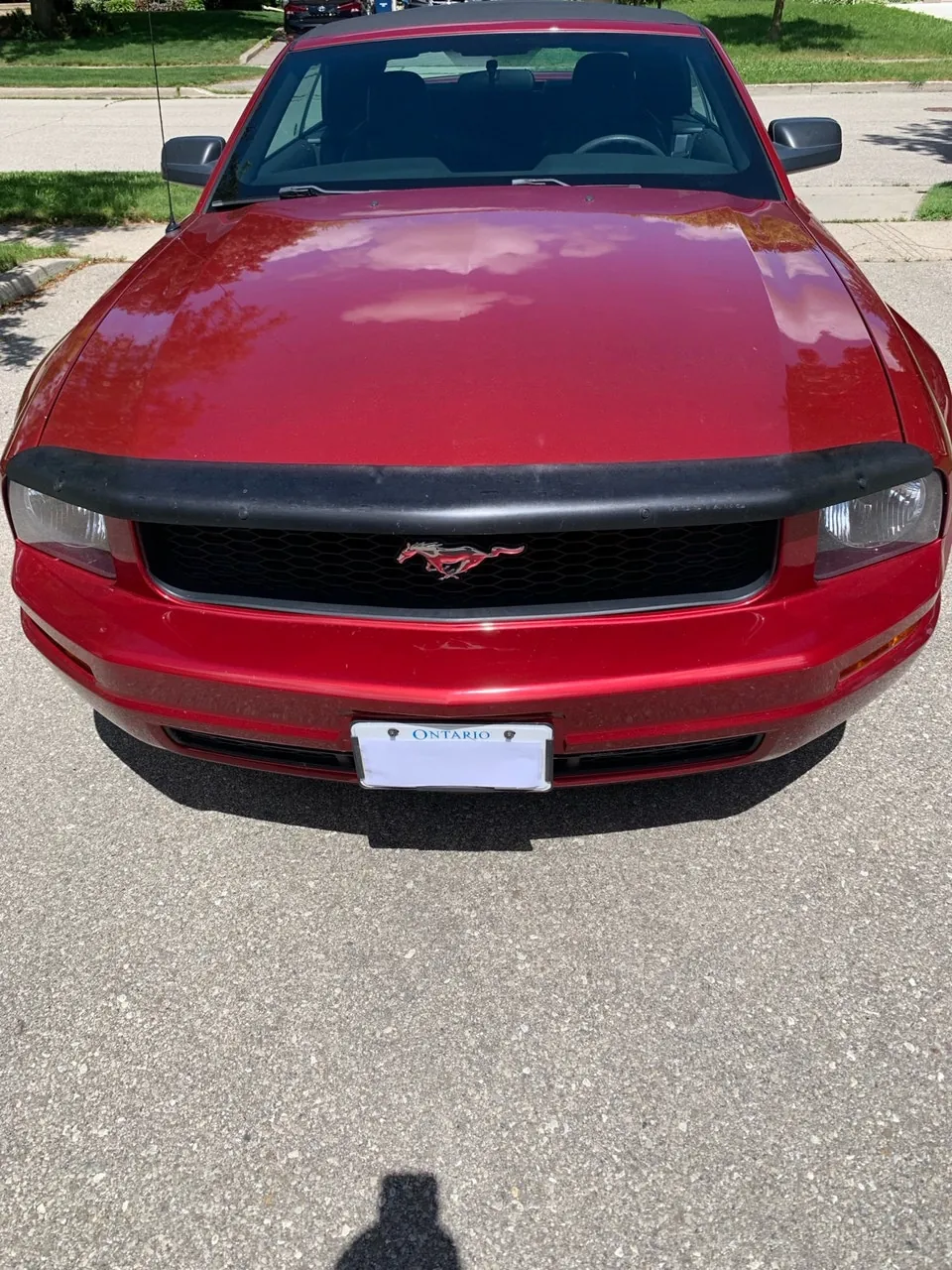 Ford Mustang 2005 photo 4