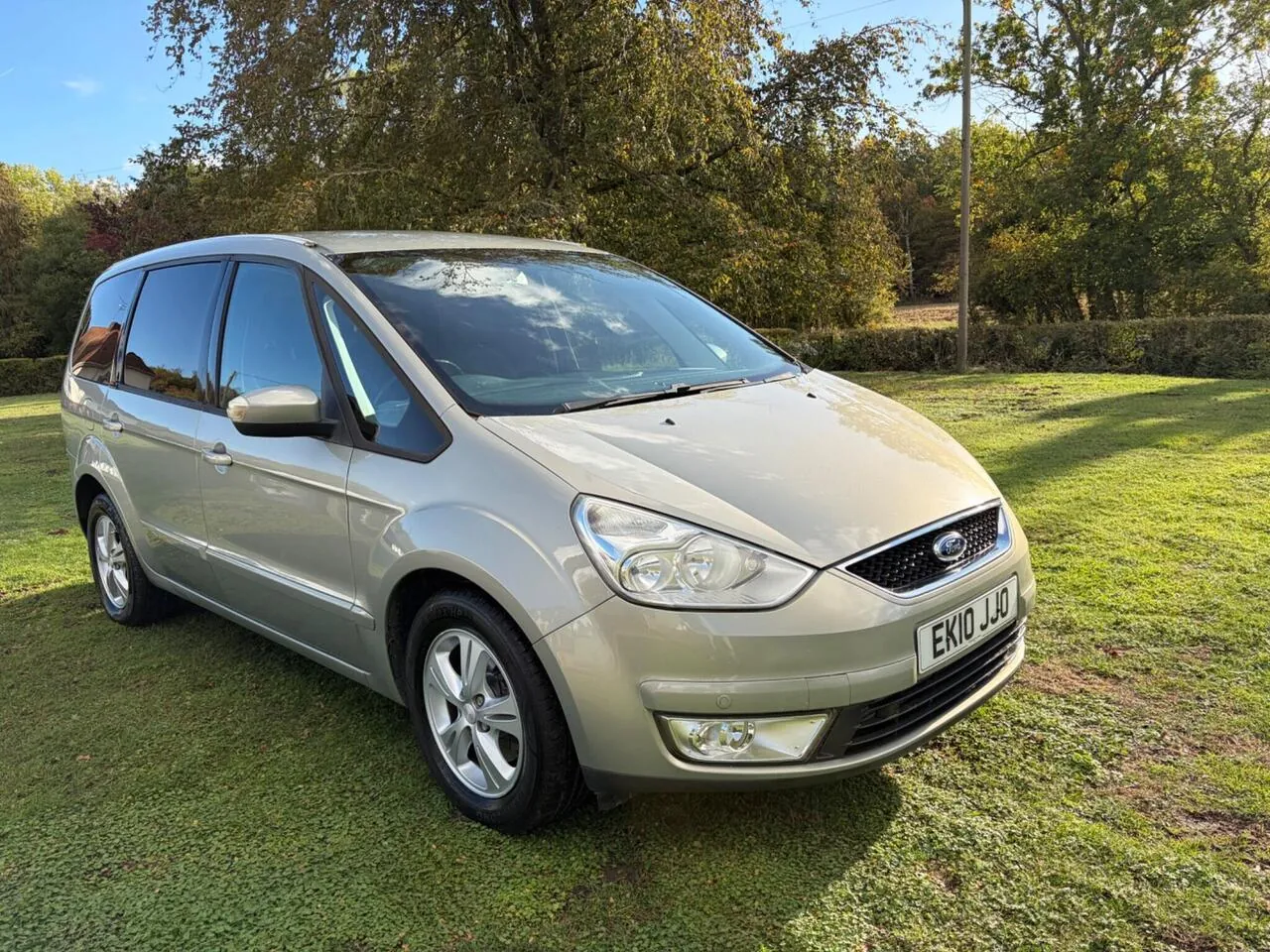Ford Galaxy 2010 photo 2