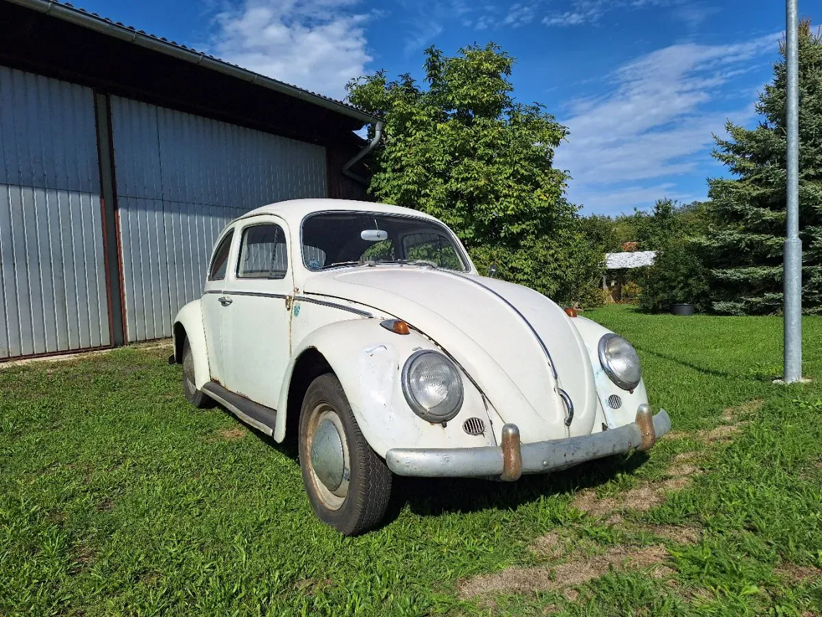 Volkswagen Käfer 1963 photo 3