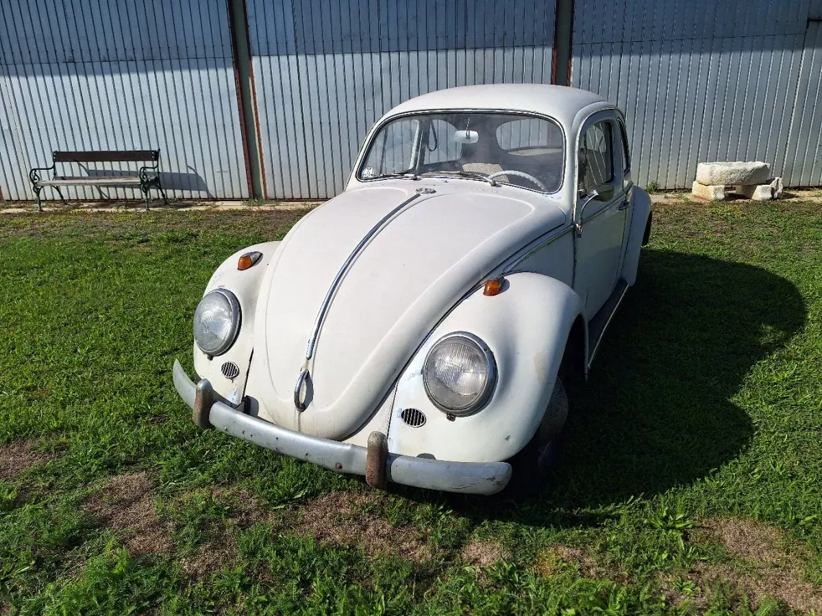 Volkswagen Käfer