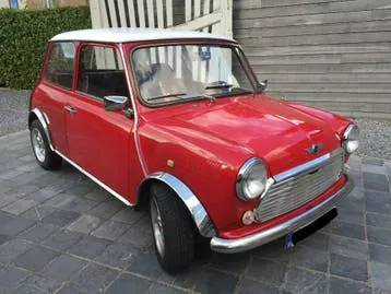 Rover Mini