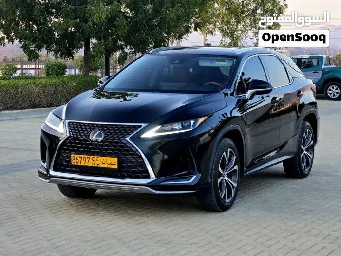 Lexus Rx 350 Premium 2021 photo 5