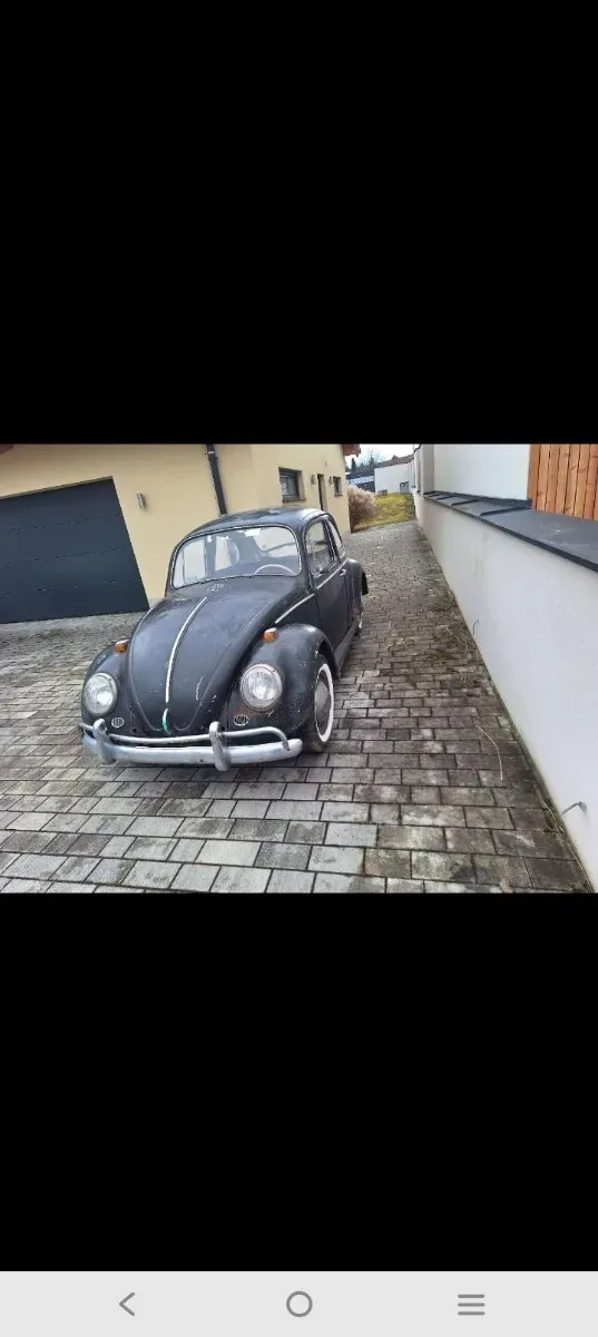 Volkswagen Käfer 1965 photo 3