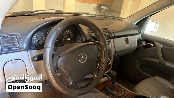 Mercedes-Benz M-Class 2003 photo 2