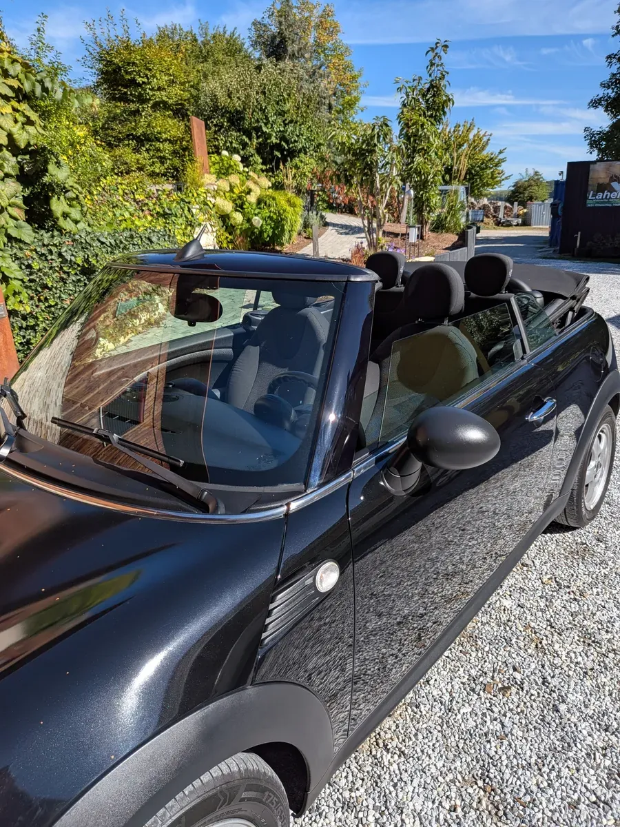 Mini Cabrio 2010 photo 3