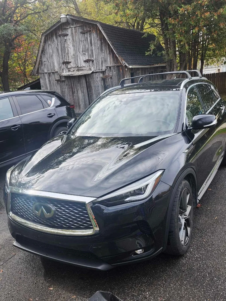 Infiniti Qx50 2019 photo 2