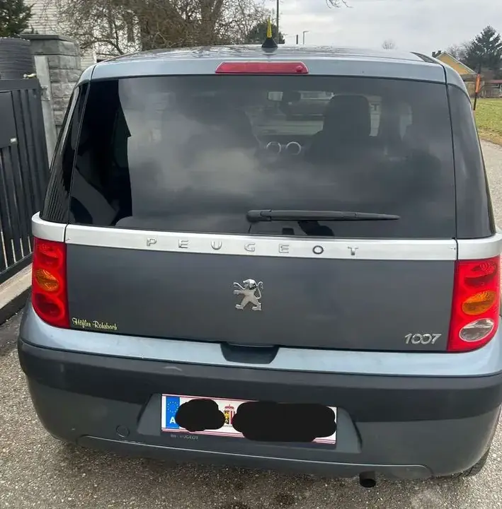 Peugeot 1007 2005 photo 2
