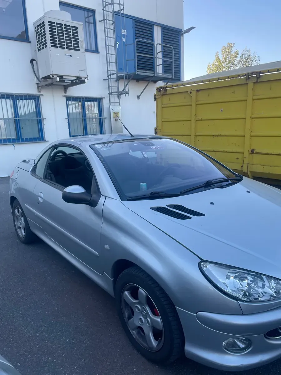 Peugeot 206 2003 photo 2