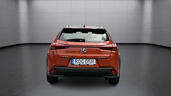 Lexus Ux250H 2020 photo 4