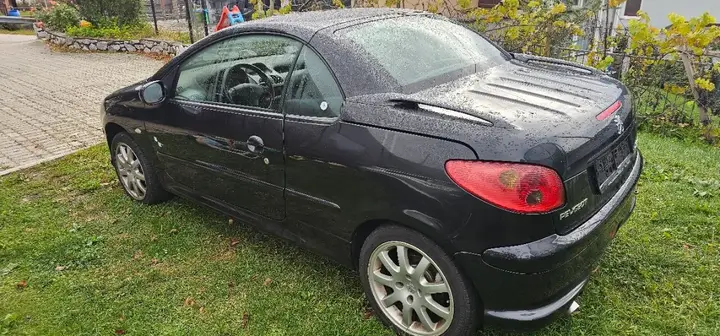 Peugeot 206 2004 photo 2