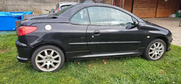 Peugeot 206 2004 photo 3