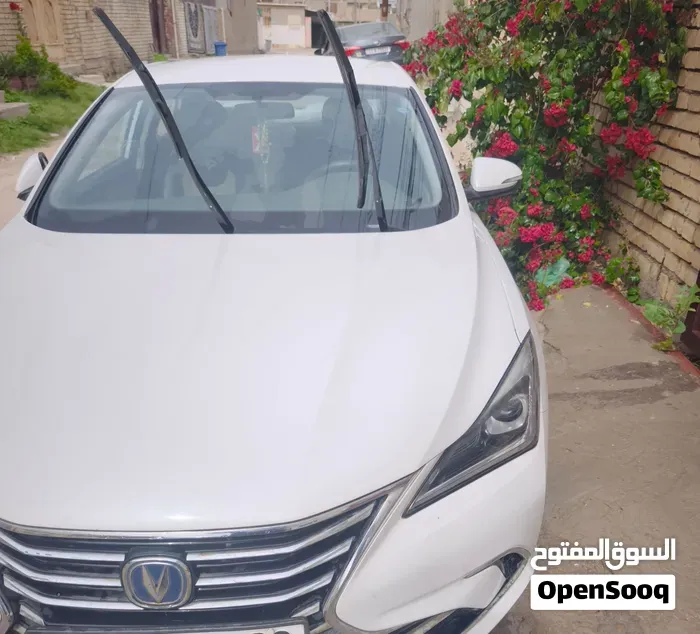 Changan Eado Plus Sport 2020 photo 4