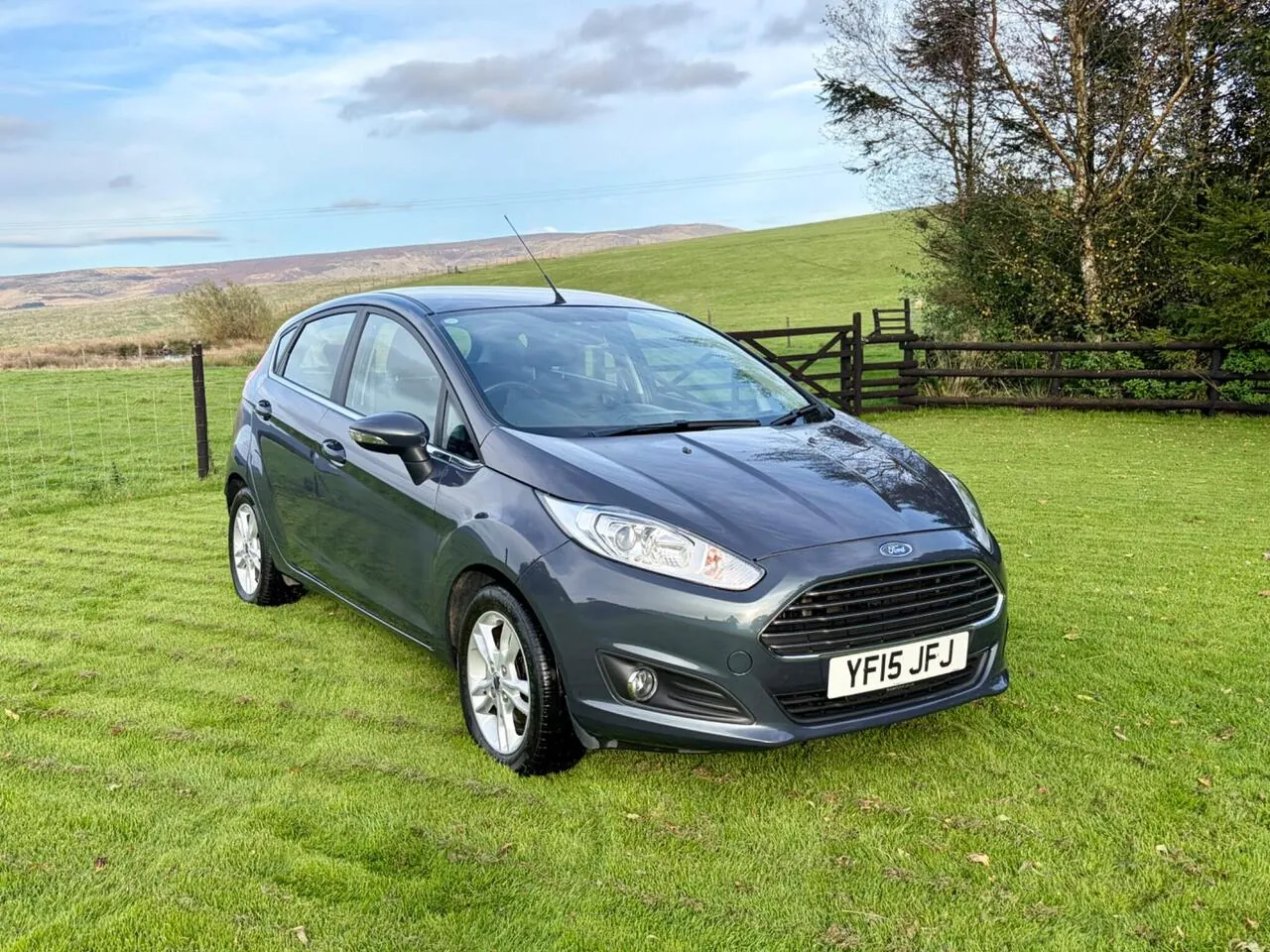 Ford Fiesta 2015 photo 2