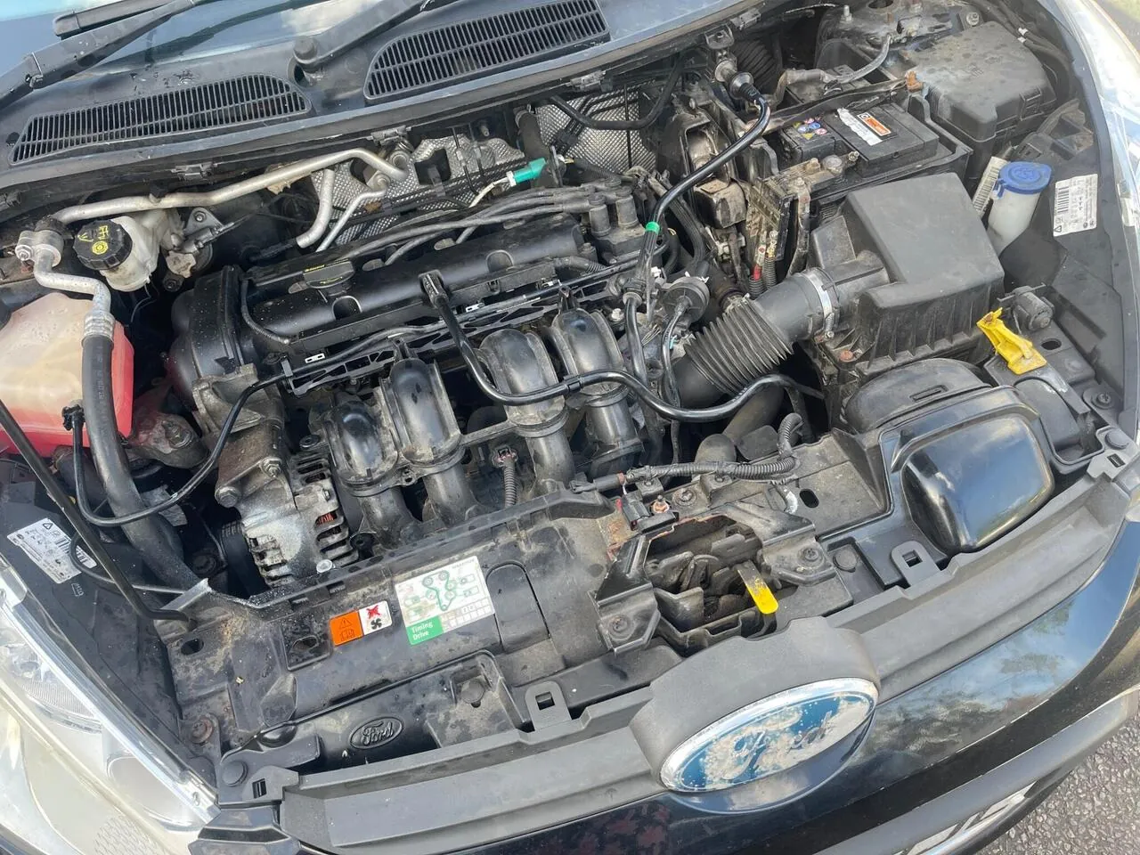 Ford Fiesta 2010 photo 4
