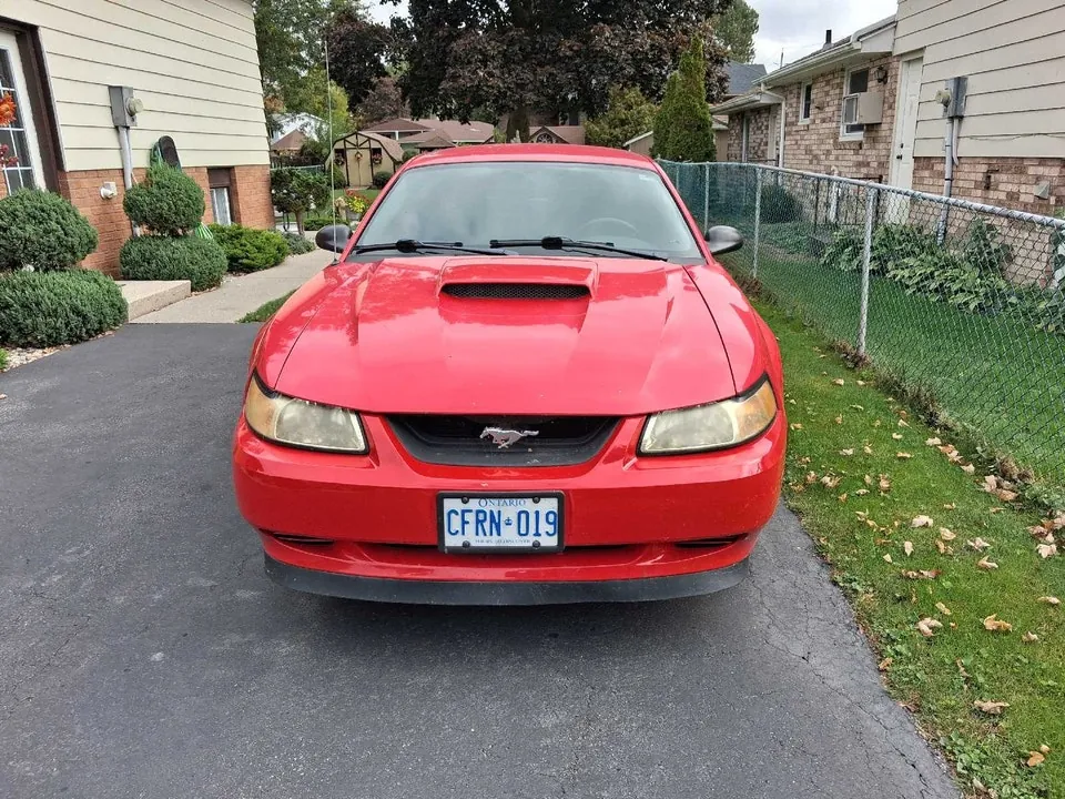 Ford Mustang 2004 photo 2