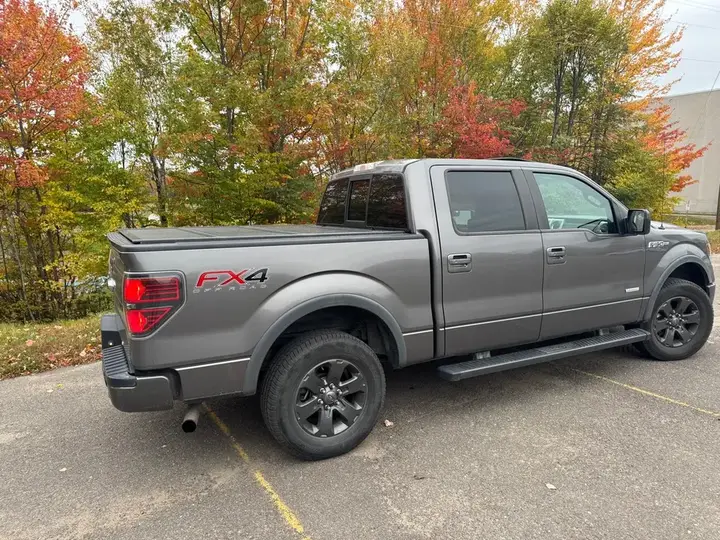 Ford F-150 2013 photo 2