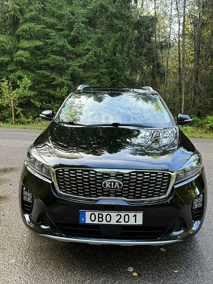 Kia Sorento 2020 photo 2