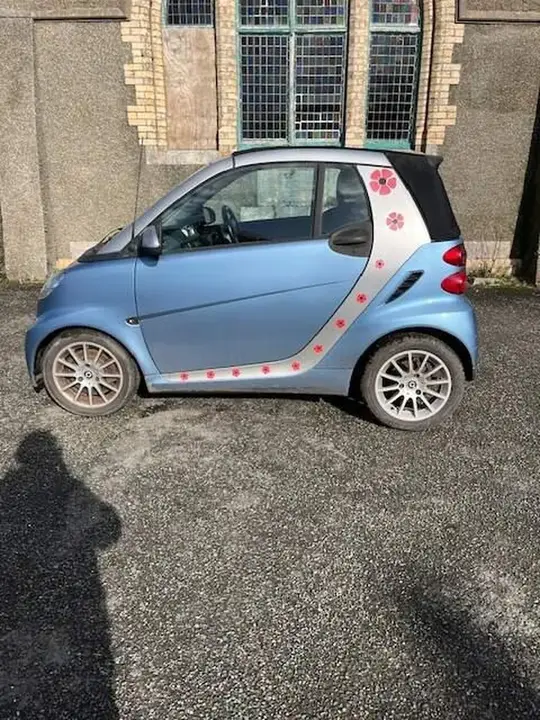 Smart Fortwo 2011 photo 2