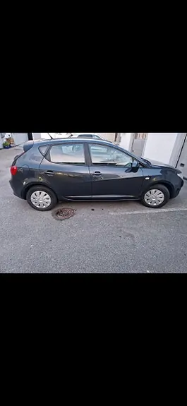 Seat Ibiza 2009 photo 2