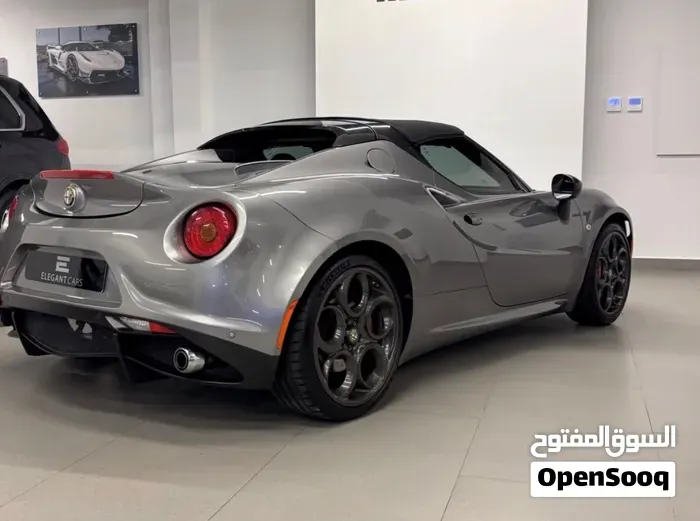 Alfa Romeo 4C Sport 2016 photo 3
