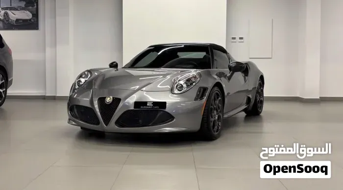 Alfa Romeo 4C Sport 2016 photo 2