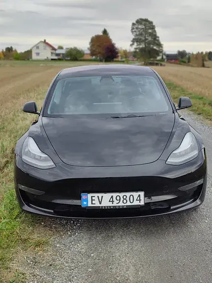 Tesla Model 3 2019 photo 3