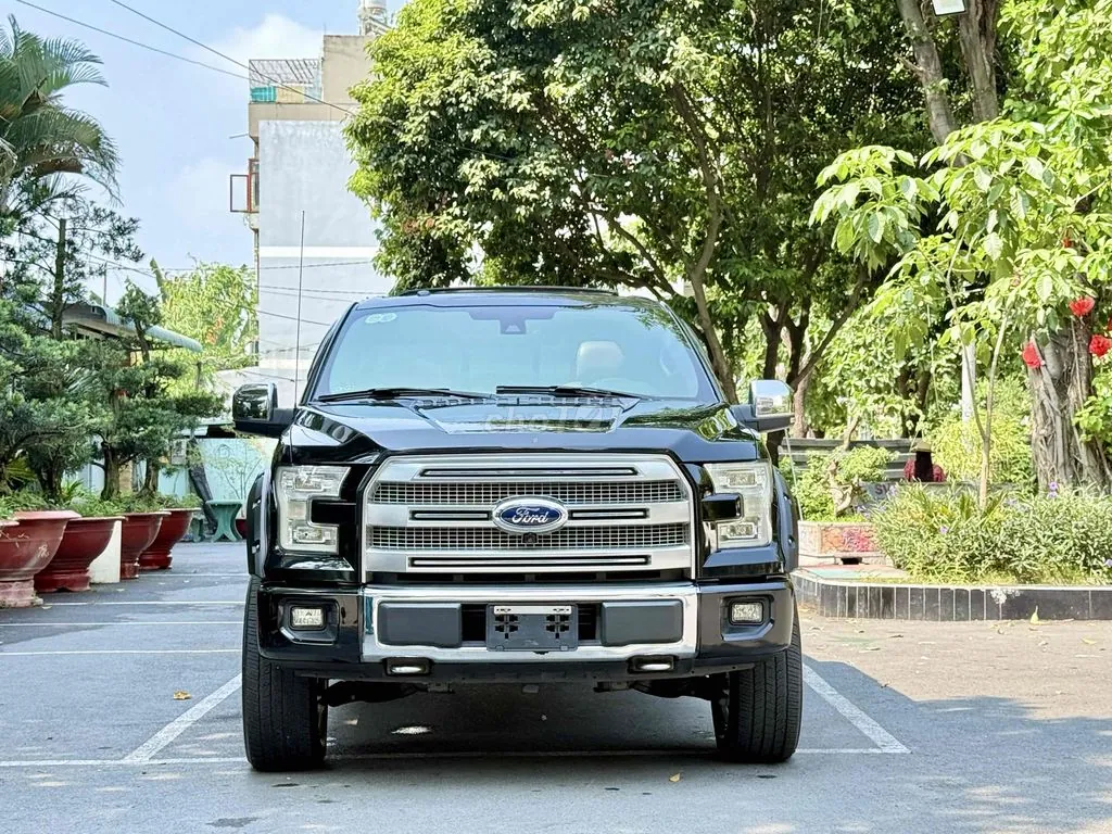 Ford F-150 2015 photo 3