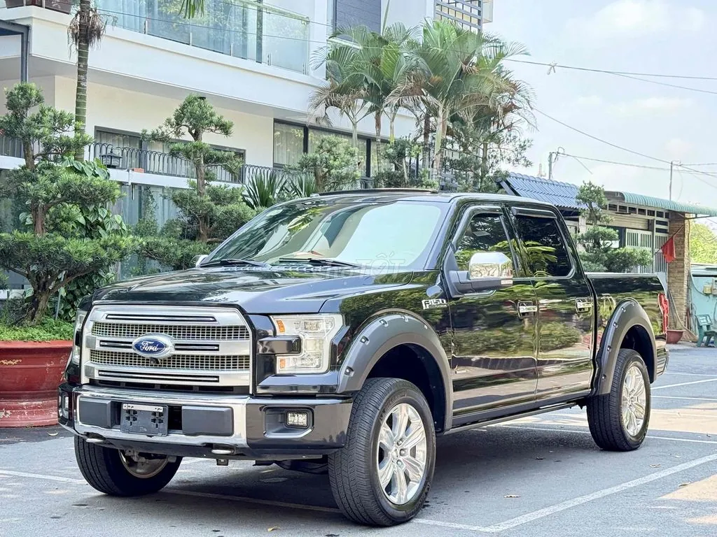 Ford F-150 2015 photo 2