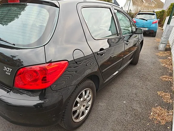 Peugeot 307 2007 photo 5