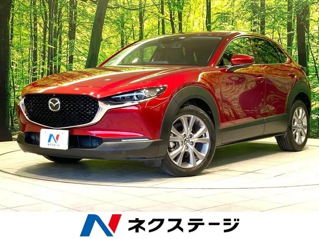 Mitsubishi Cx-30