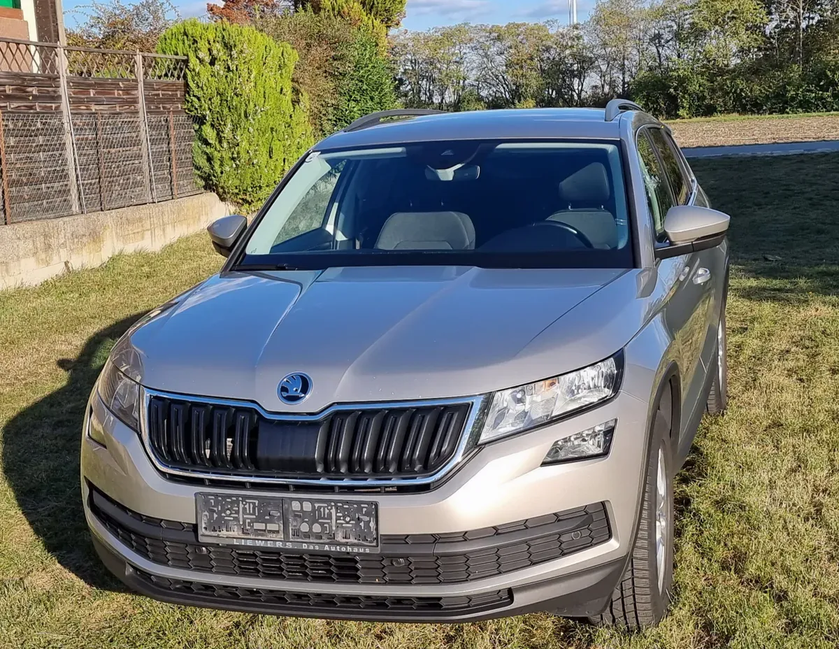 Skoda Kodiaq 2019 photo 2