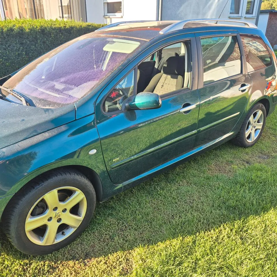 Peugeot 307 Sw