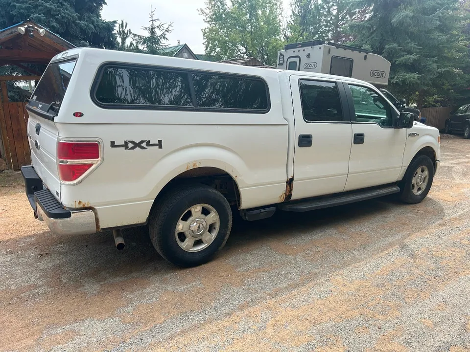 Ford F-150 2010 photo 2