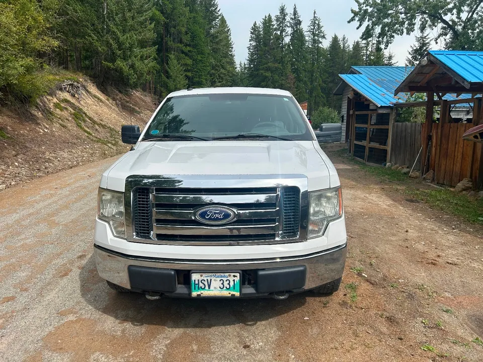 Ford F-150 2010 photo 3