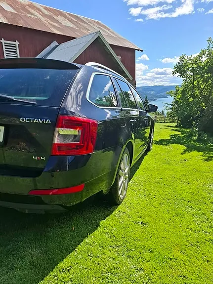 Skoda Octavia 2014 photo 4