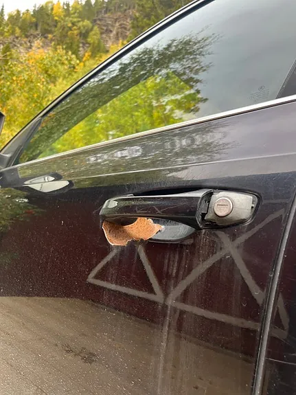 Skoda Octavia 2014 photo 5