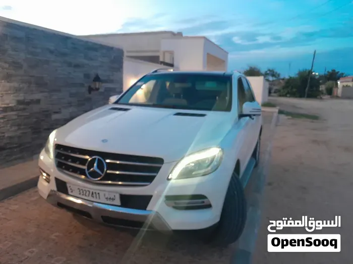 Mercedes-Benz M-Class 2011 photo 3