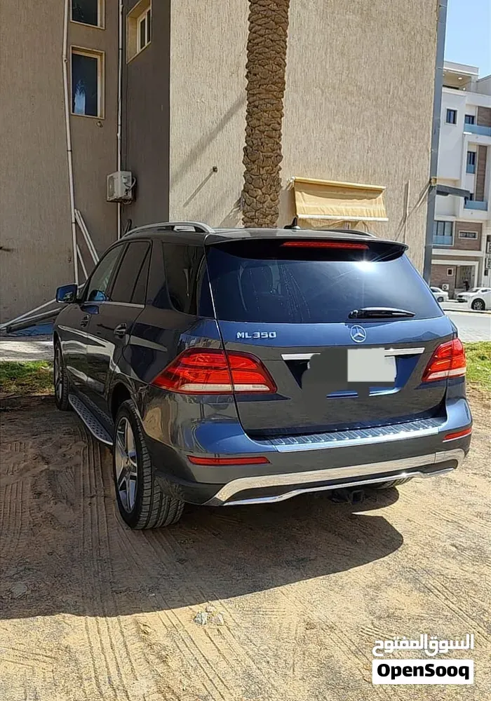 Mercedes-Benz M-Class 2011 photo 5