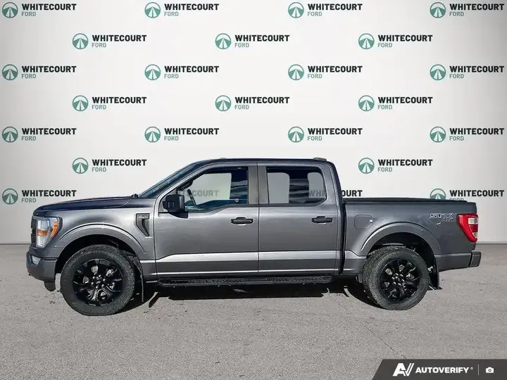 Ford F-150 2022 photo 3