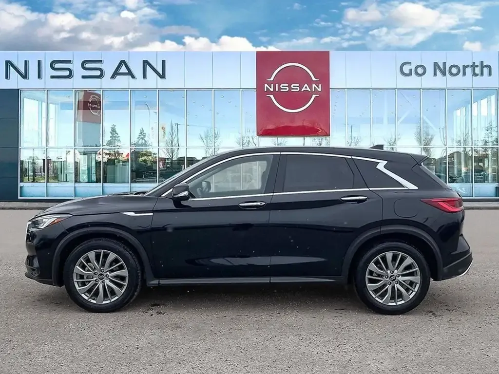 Infiniti Qx50 2023 photo 3