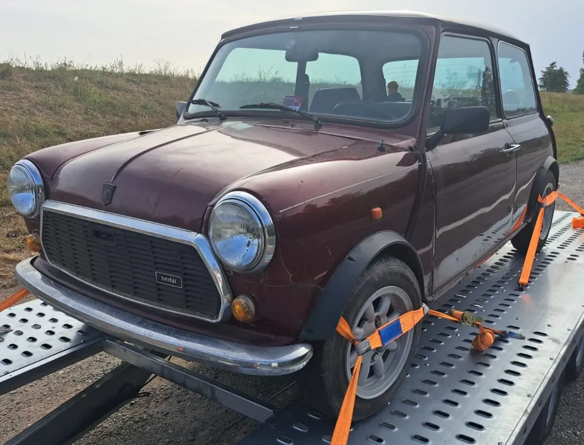 Mini Mini Mayfair 1991 photo 3