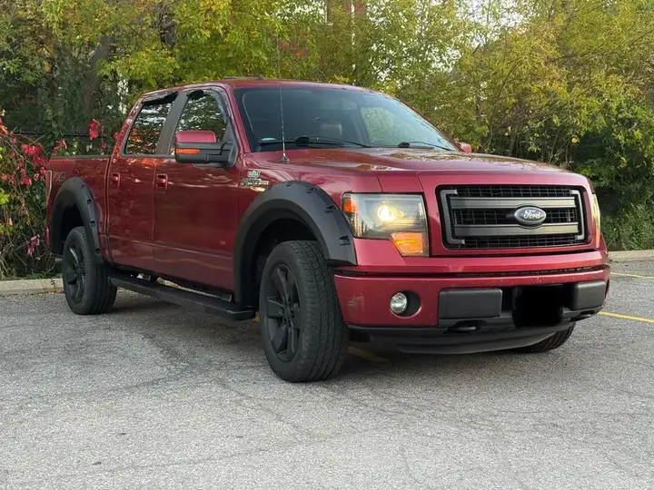 Ford F-150 2014 photo 2