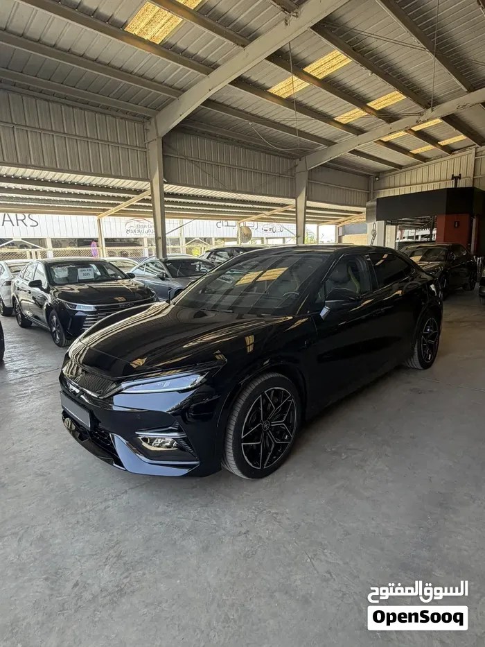 BYD Song L