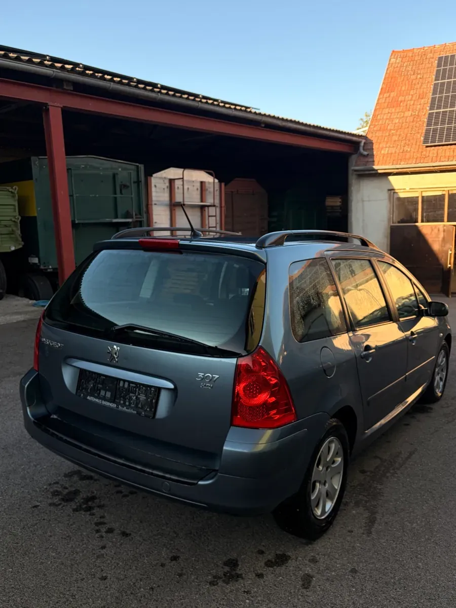 Peugeot 307 2007 photo 2