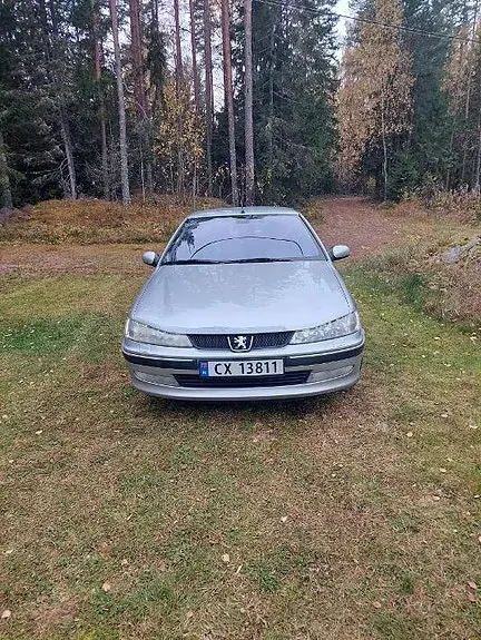 Peugeot 406 2002 photo 3