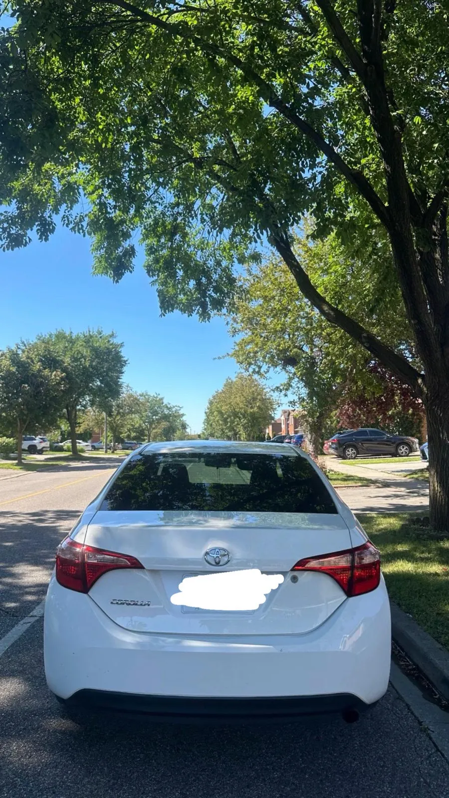 Toyota Corolla 2017 photo 3