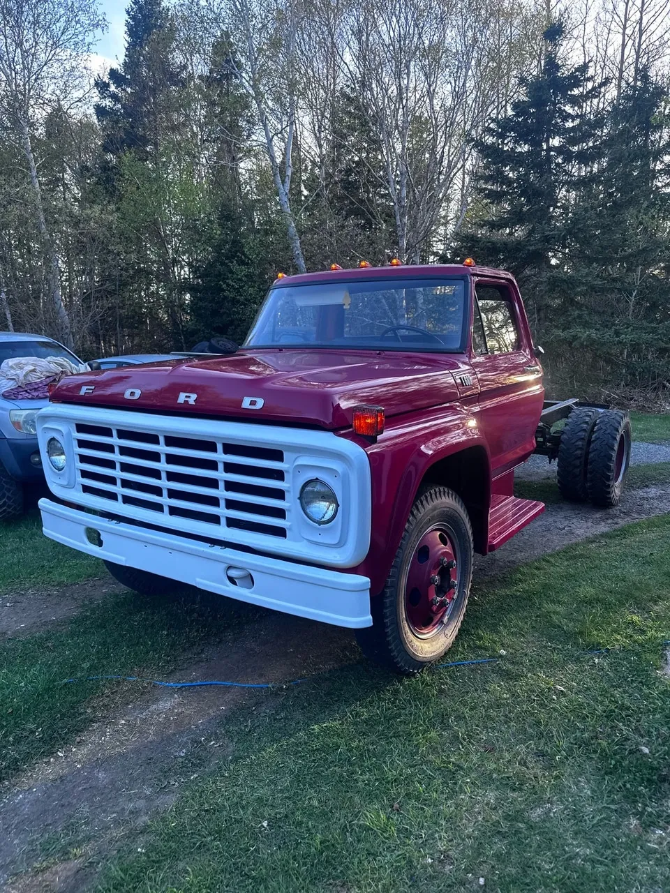 Ford F600 1974 photo 2