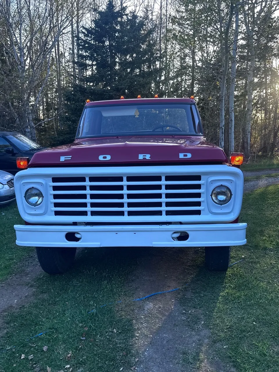 Ford F600 1974 photo 3