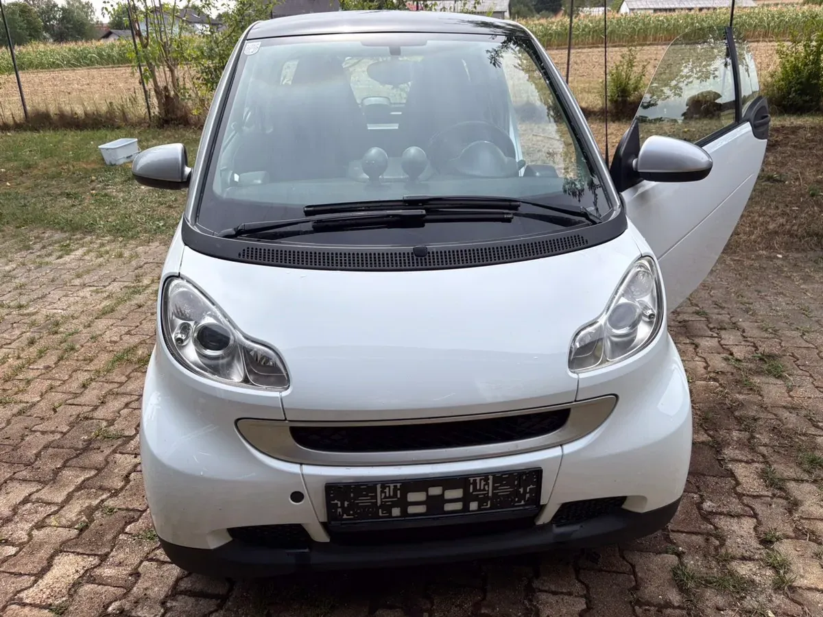 Smart Fortwo 2010 photo 2